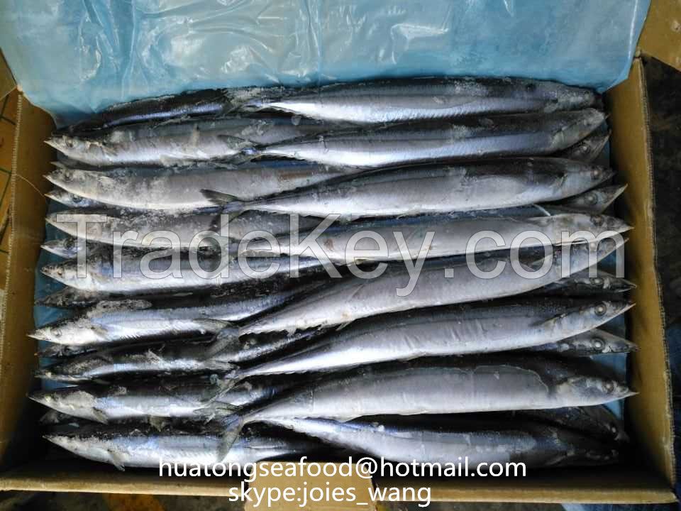 2017 new popular frozen pacific saury for canning 