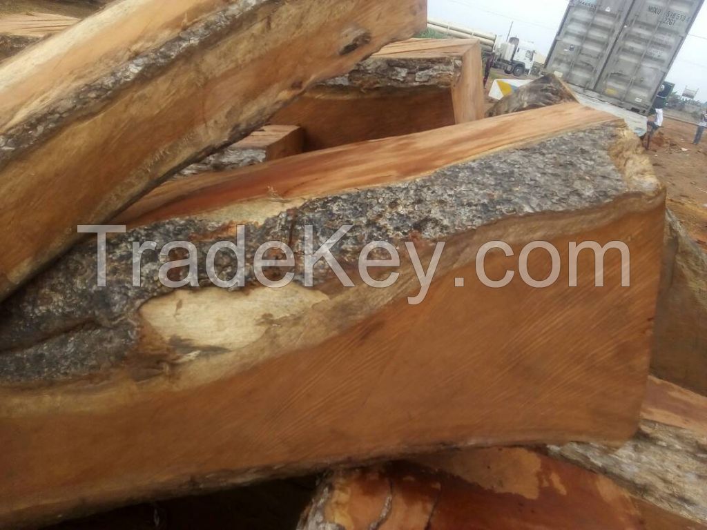 Gmelina Wood, Teak, Eki Wood(Iron Wood), Red Apa (Dossie), Kosso (Madrid)