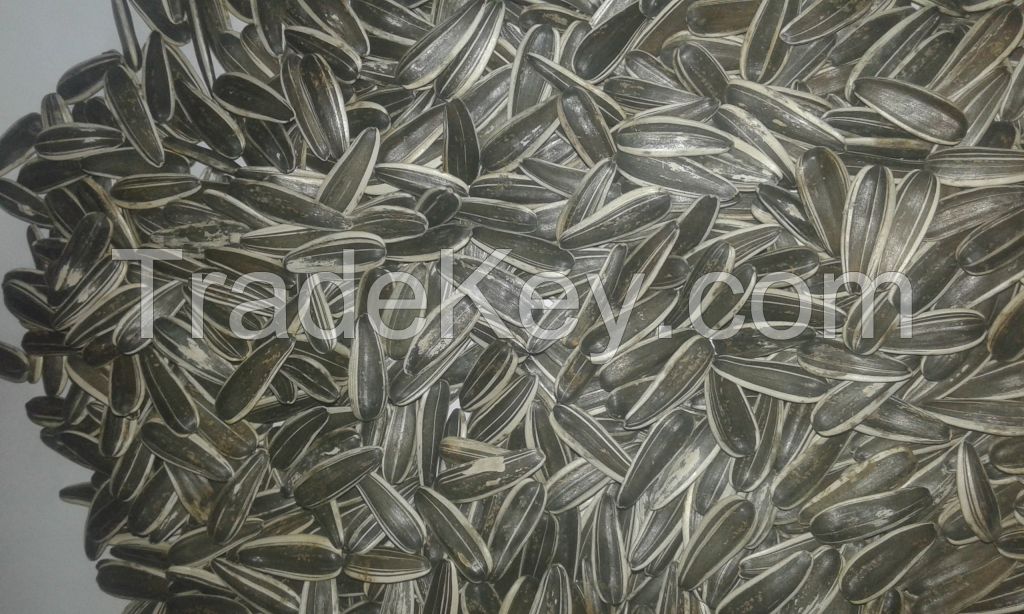 sunflower seeds 