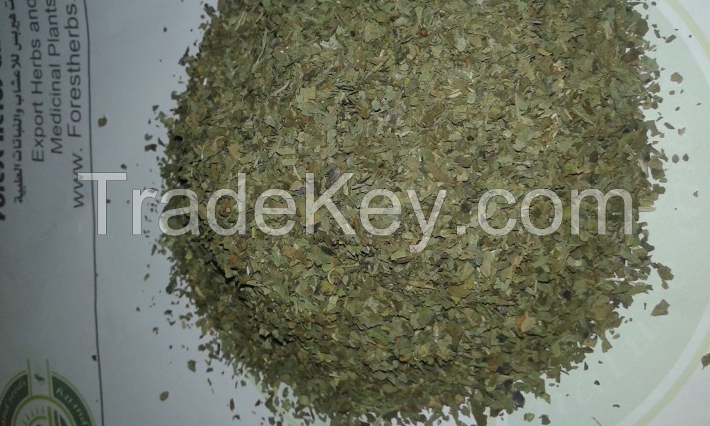 basil crushed( Ocimum basilicum)