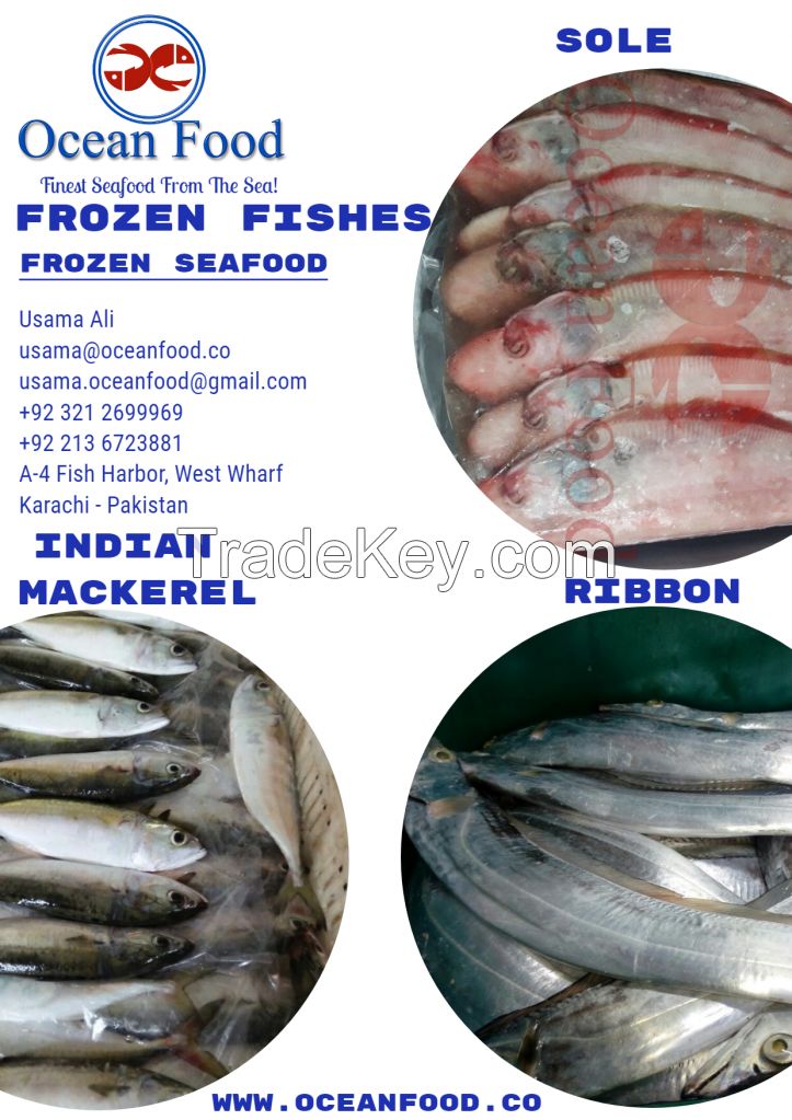 Sole, Ribbon and Indian Mackerel Fish