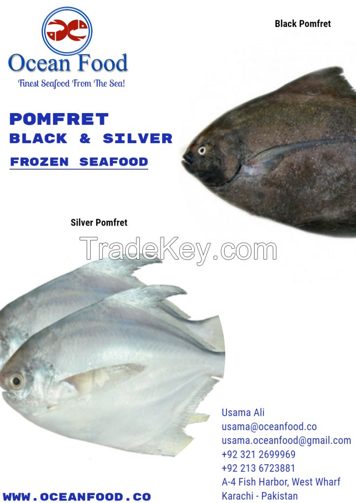 Pomfret