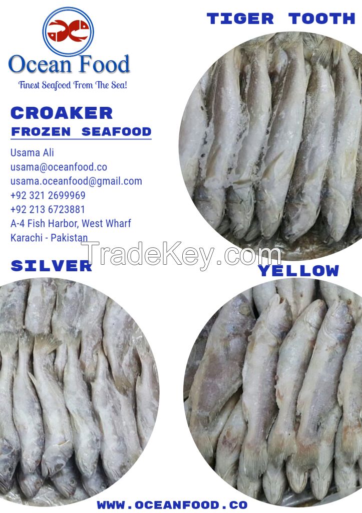 Croaker (Yellow, Silver &amp;amp; Tiger Tooth)