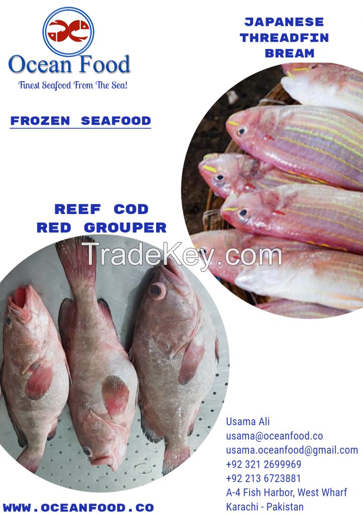 japanese threadfin bream (JTB) &amp;amp; Reef Cod (Red Grouper)