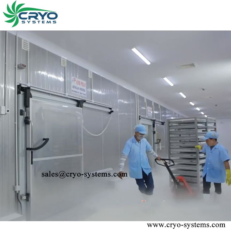 walk in freezer room industrial, industrial fridge freezer system, industrial refrigeration chamber room