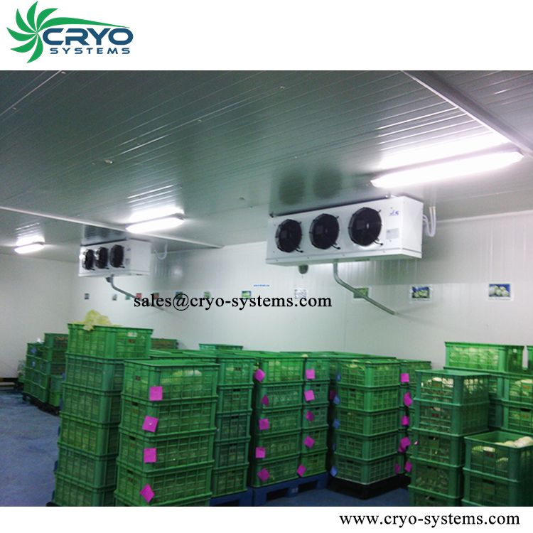 walk in freezer room industrial, industrial fridge freezer system, industrial refrigeration chamber room