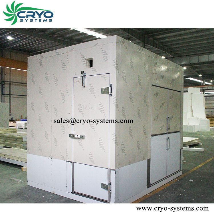 vegetable cold storage , walk in freezer with monoblock unit , mini cold store