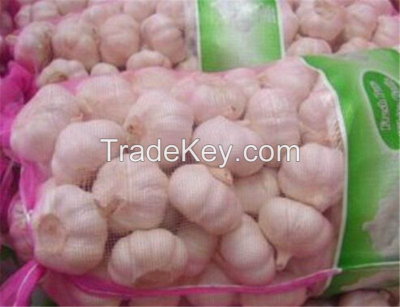 2017 new crop garlic normal white garlic 