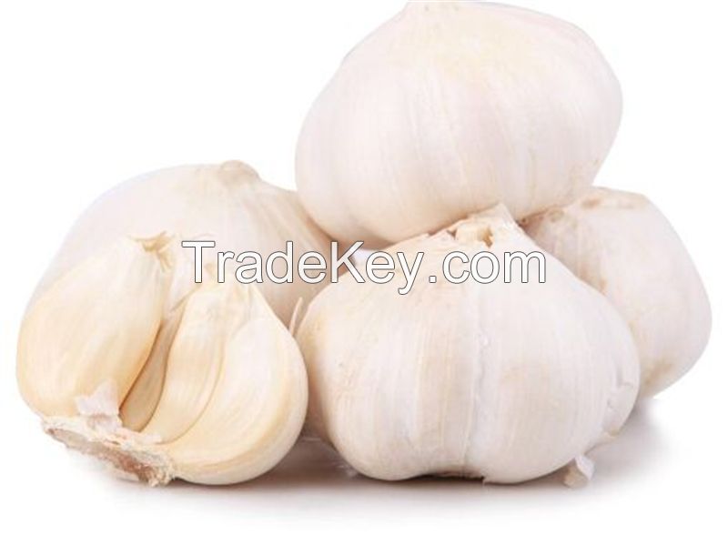 2017 new crop garlic normal white garlic 