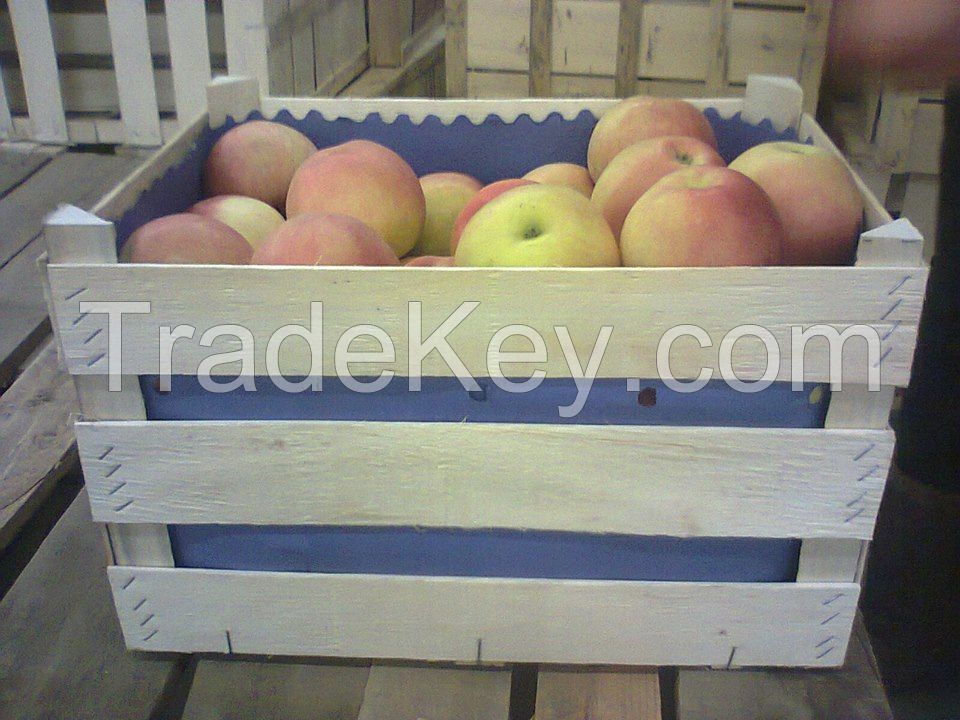 Fresh Royal Gala Apples, Fuji Apples, Golden Delicious Apples, Red Delicious Apples For sale