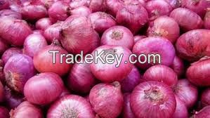 Round fresh red onions fresh cheap onion