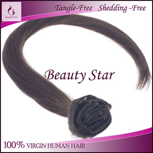 Clip in Hair Extension 2#, 100% Virgin Human Hair