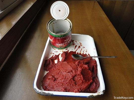 tomato paste /tomato ketchup