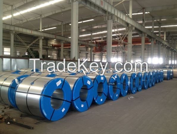 Rolled Steel Coils 