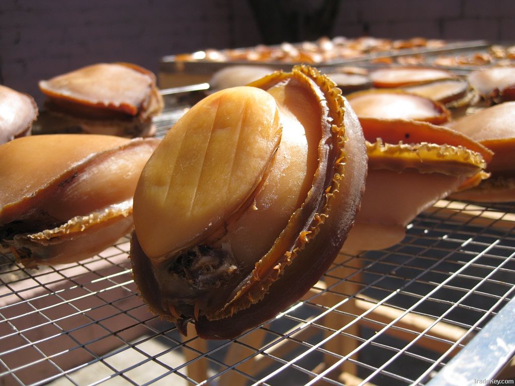 Dried Abalone