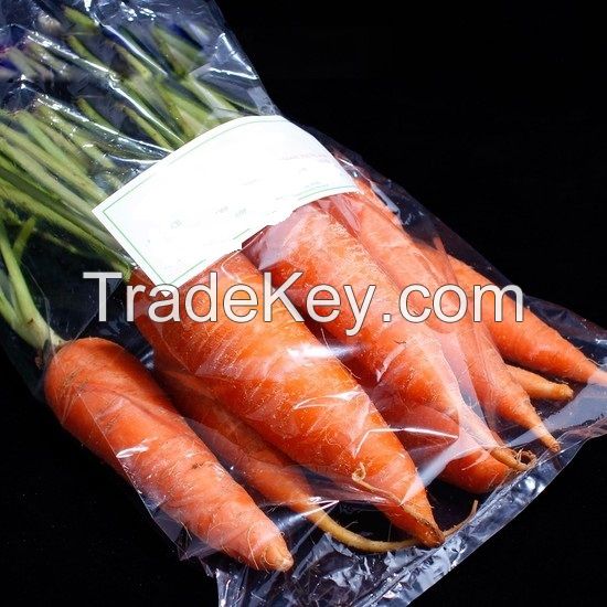 Fresh Carrots From Viet Nam