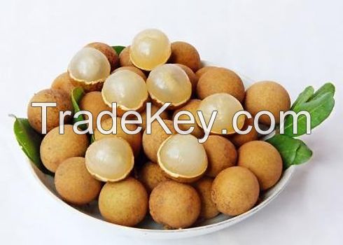 Fresh Longan fruit