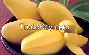 Fresh Mango from Viet Nam