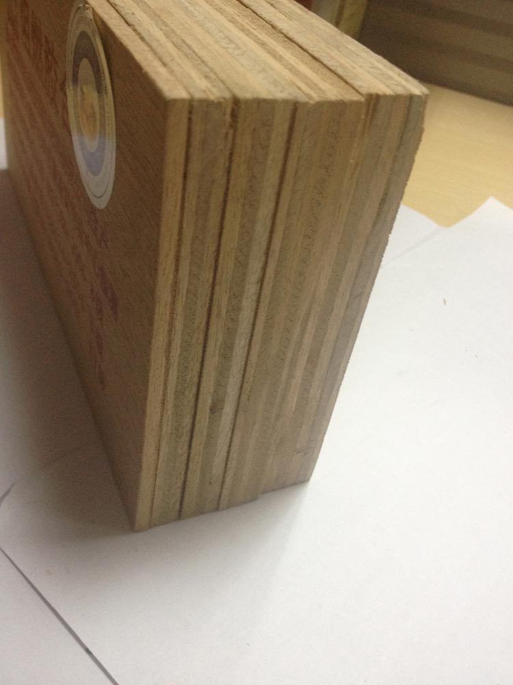 1220*2440mm*18mm black film face plywood construction plywood