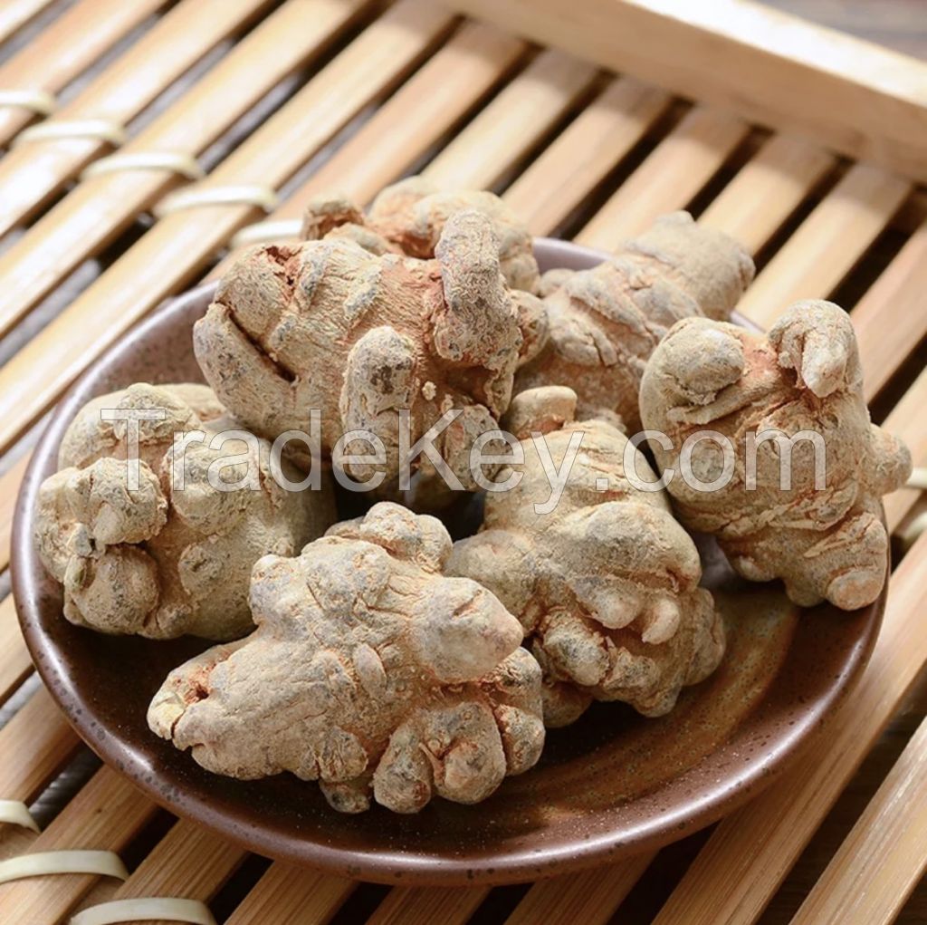 1012 San qi Factory Supply Natural Panax notoginseng