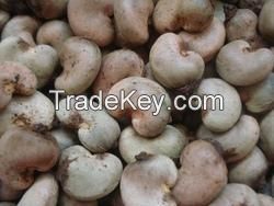 High Quality Raw Cashew Nuts For Sale 