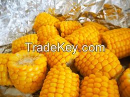 Sweet Corn