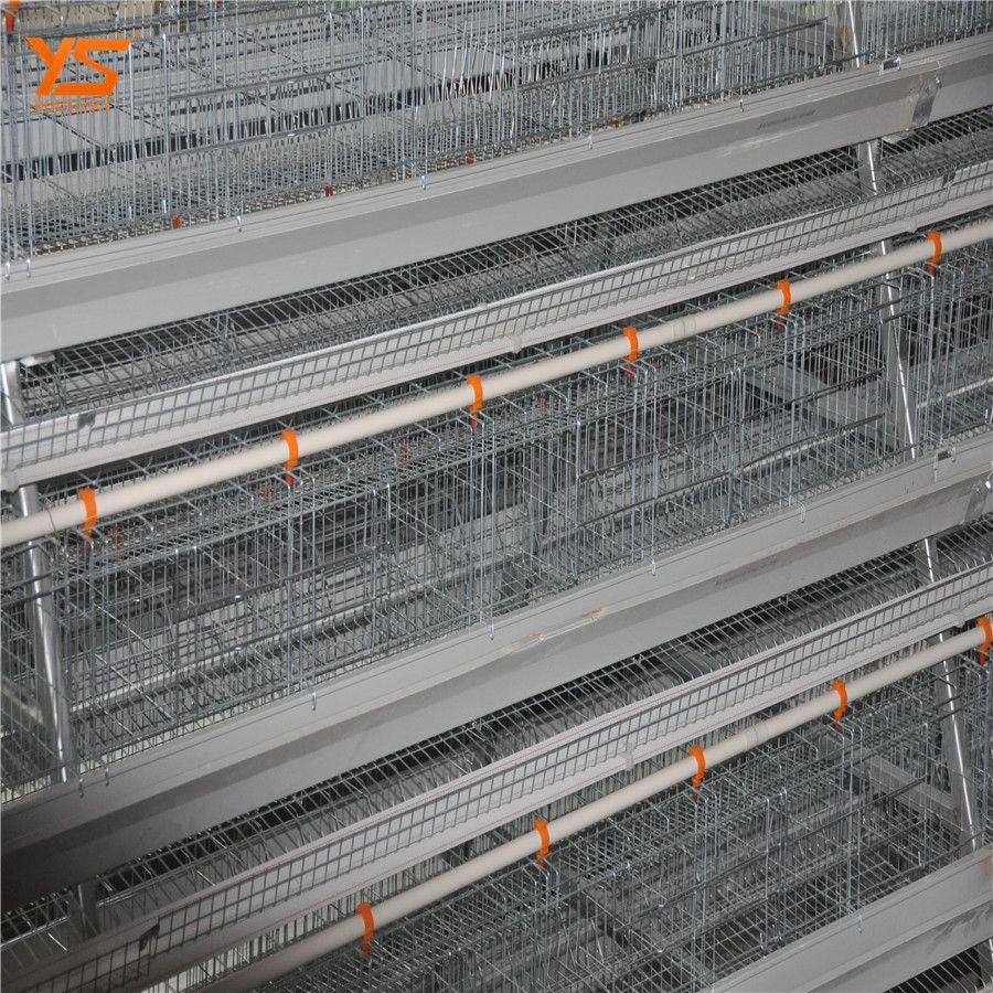 high quality low price poultry layer chicken cage for sale