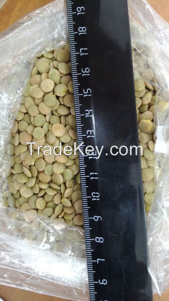 Yellow peas, green lentils of Russian origin