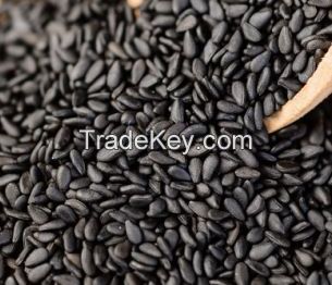 Sesame seeds, chia seeds, jatropha seeds and other seeds for exportation