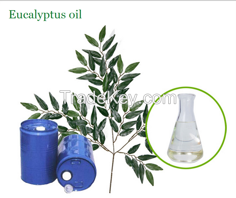 Natural Pure Essential Oil Eucalyptus oil 