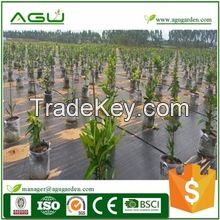 Retaining moisture low price high quality ground cover