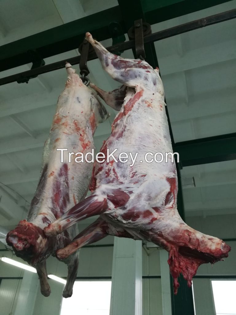 Frozen Halal Lamb/Mutton Carcass