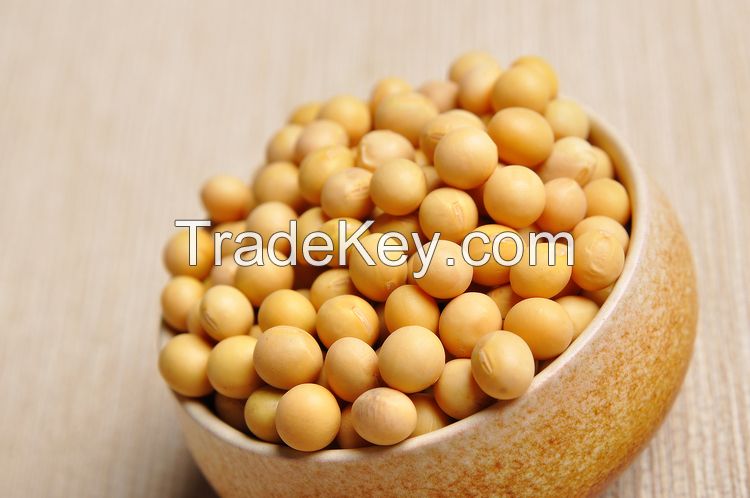 Soybeans