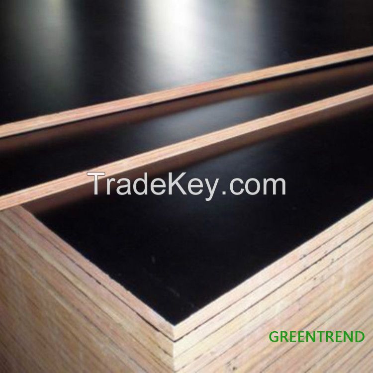 Black Full poplar film faced plywood 