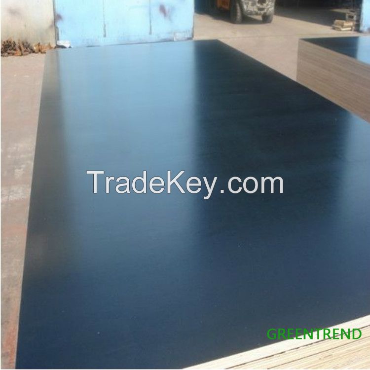 Black Full poplar film faced plywood 