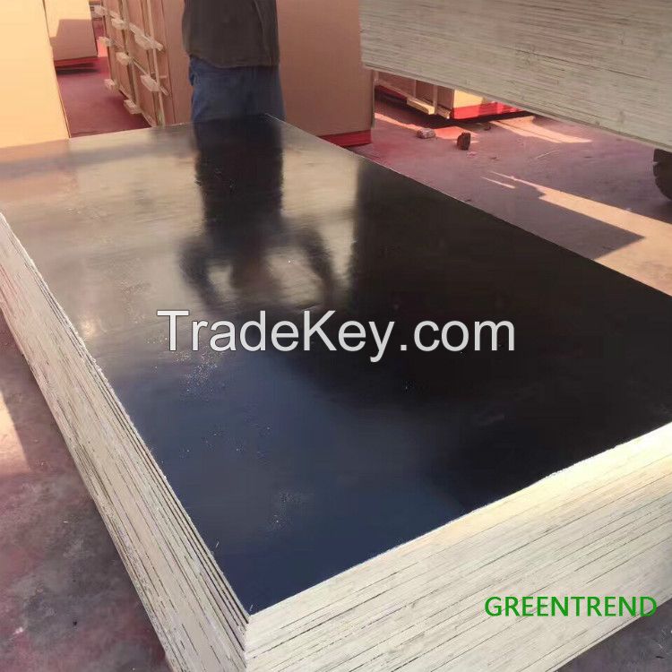 Black Full poplar film faced plywood 