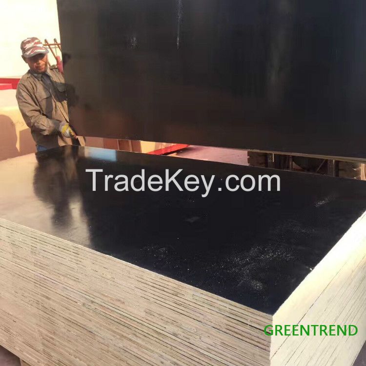 Black Full poplar film faced plywood 