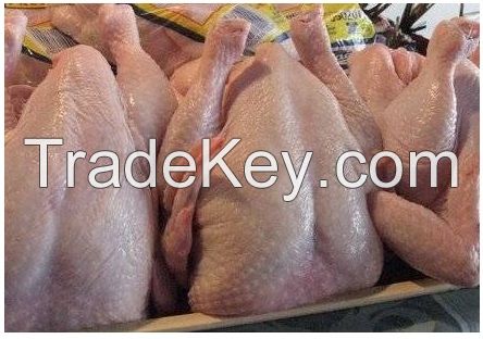 AVAILABLE WHOLE FROZEN CHICKEN, FROZEN CHICKEN FEET, CHICKEN PAWS, CHICKEN WINGS