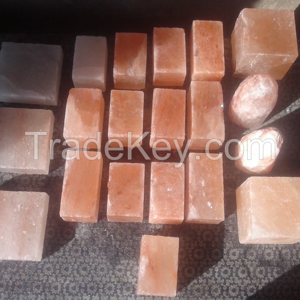 Himalayan Salt Bricks