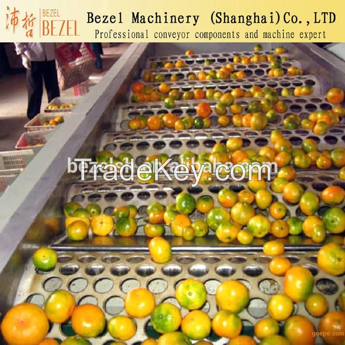 Vegetables Washing Conveyor SUS Wire Mesh Conveyor Manufacturer In Chi