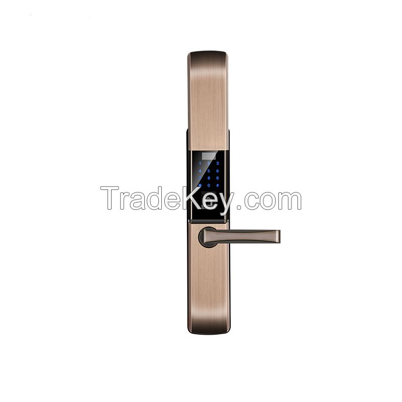 Luxury Multi-function Fingerprint Password Door Lock with Sliding Clousure