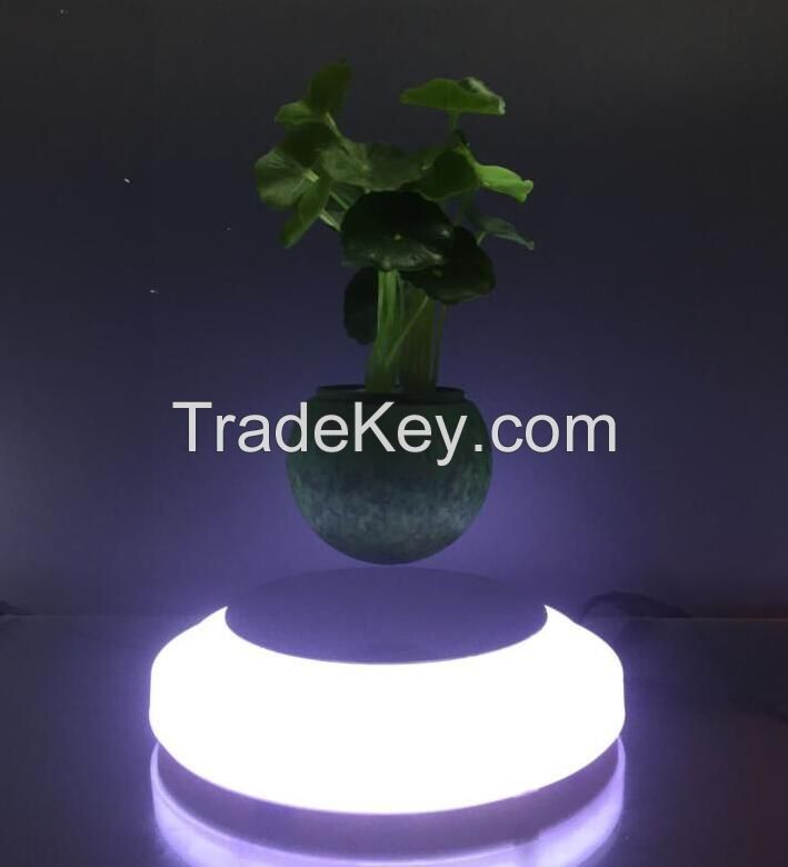 magnetic floating live bonsai tree with led light 0-300g