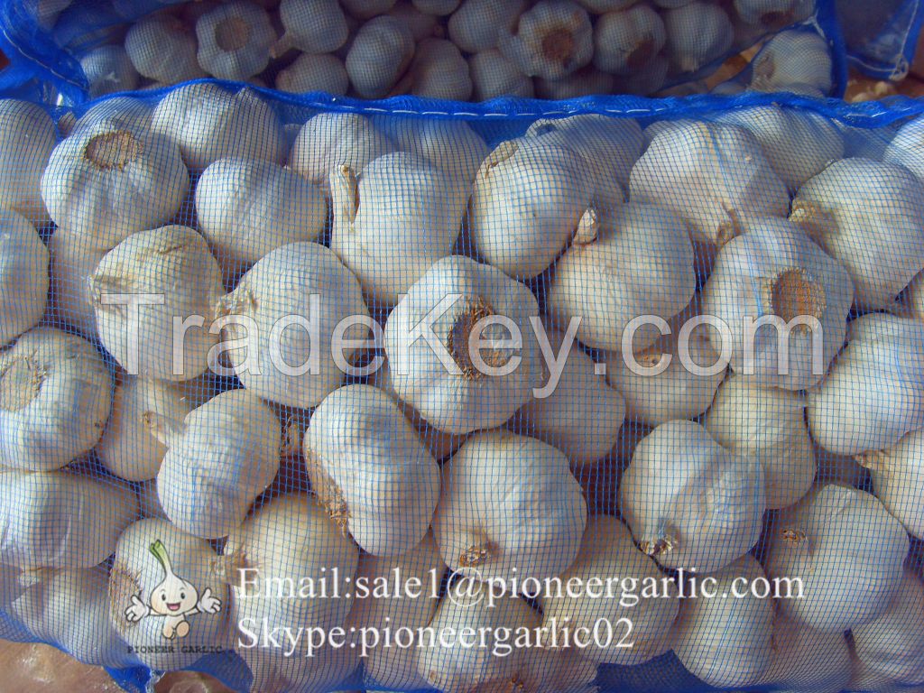 Jinxiang Shandong Fresh Normal White Red Garlic 4.5cm-6.0cm Loose Packing in Mesh Bag