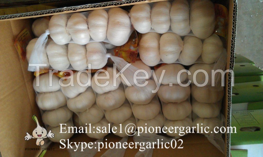 Jinxiang Shandong Fresh Normal White Red Garlic 4.5cm-6.0cm Loose Packing in Mesh Bag