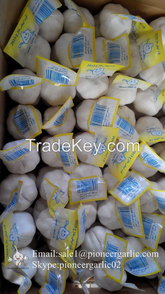 New Crop Chinese 5.5cm Pure White Fresh Garlic Small Packing In Mesh Bag