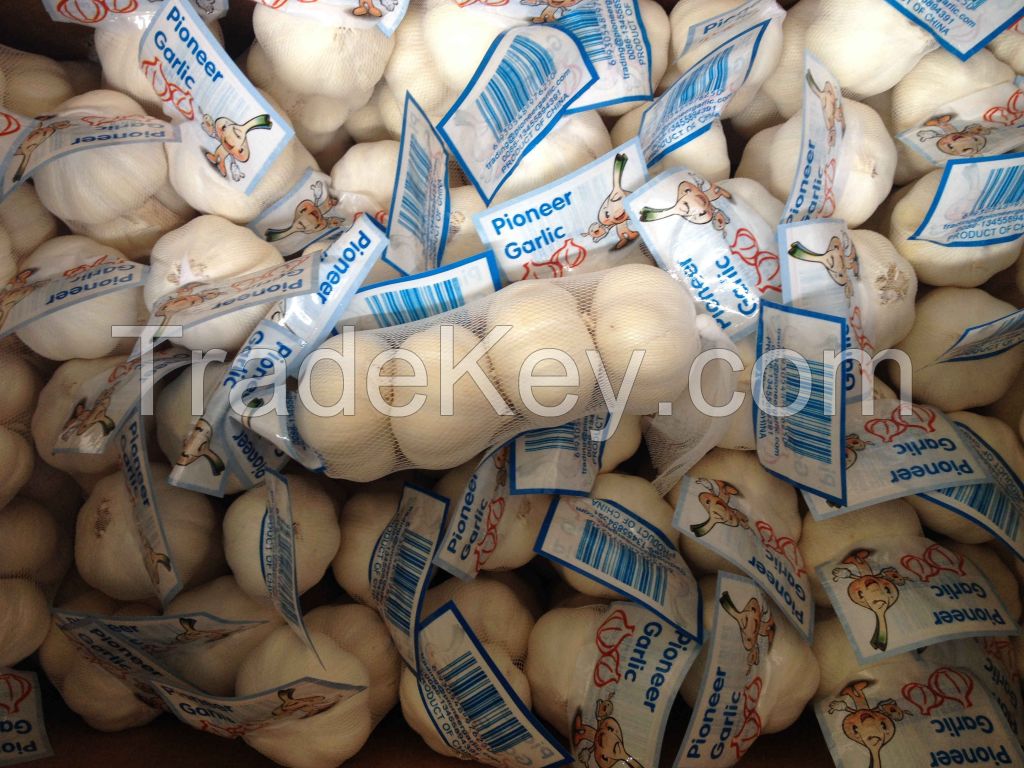 Jinxiang Shandong Fresh Normal White Red Garlic 4.5cm-6.0cm Loose Packing in Mesh Bag