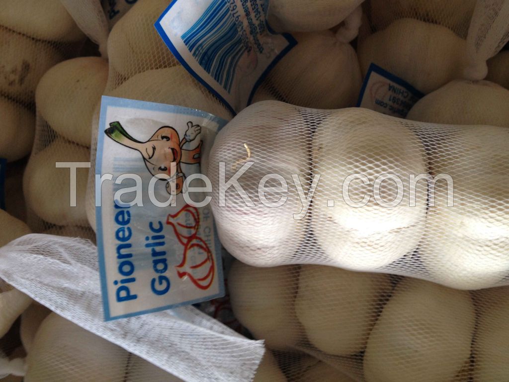 Natural Fresh 5cm Snow White Garlic 3p Small Packing In Carton Box