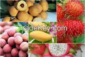 fresh fruit, dried fruit, canned fruit, vegetable, Dragon fruit, lemon, lime, banana, coconut, banana, rambutan