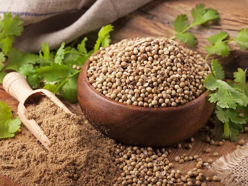 Coriander Seeds / Dhaniya