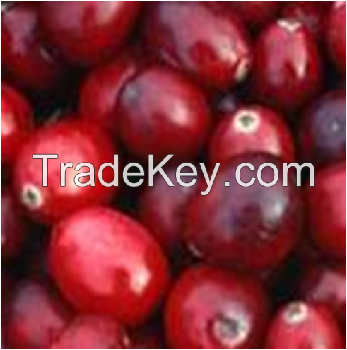 100% Natural Cranberry Extract 25% Anthocyanin